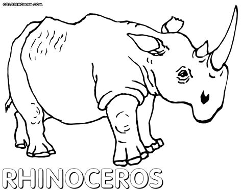 rhinoceros coloring pages coloring pages    print