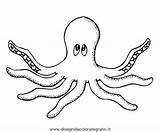 Polipo Polipi Animali Octopus Vitalcom sketch template