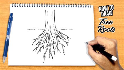 discover  tree sketch  roots ineteachers