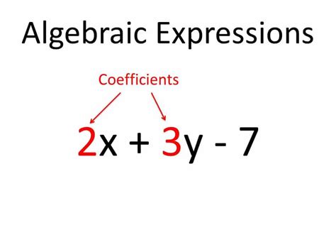algebraic equation  math definition tessshebaylo
