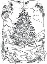 Christmas Coloring Pages Difficult Size Adults Printable Getcolorings Color Print sketch template