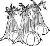 Corn Coloring Stalks Pumpkins Printable Stalk Pumpkin Clipart Fall Hay Cartoon Pages Color Mums Sheets Print Gourds Kids Popular Colouring sketch template