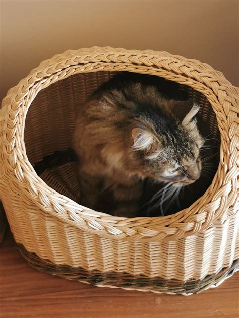 cat cave cat basket basket  cats handwoven basket  etsy