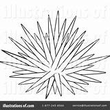 Urchin Urchins Recherche sketch template