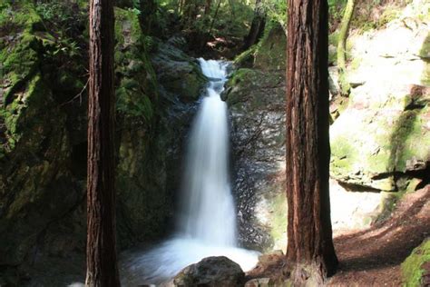 easy family waterfall hike  mill valleys cascade falls marin