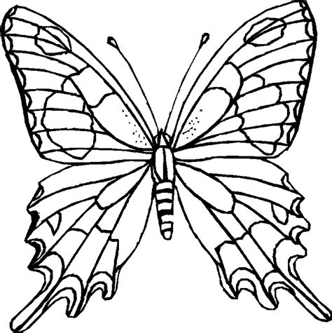 butterfly coloring printables  kids