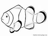 Fish Coloring Pages Nemo Clown Tropical Drawing Printable Realistic Outline Ocean Clownfish Color Kids Exotic Sea Clipart Patterns Parrot Blank sketch template