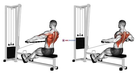 cable seated wide grip row home gym review