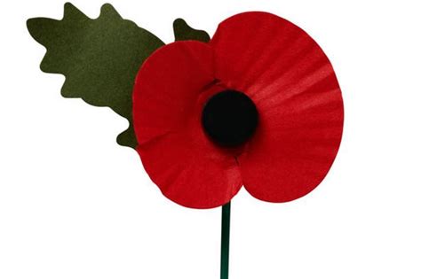 Remembrance Sunday I Sold Poppies For The First Appeal In 1921 It’s
