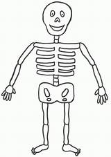 Skeleton Coloring Kids Printable Pages Halloween Simple Human Bones Template Easy Body Color Clipart Crafts Large Esqueleto Print Humano Cute sketch template