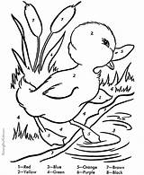 Duckling Ducks Enten Colouring Narcotics Kolorowanki Designlooter Zapisano sketch template