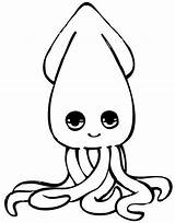Calamar Calamaro Calamares Colorare Pescados Mariscos Animali Animales Carnes Idibujos Infantiles Recursos Menta Educación Más Precedenti Condividi sketch template