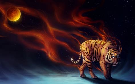 tigers backgrounds  images
