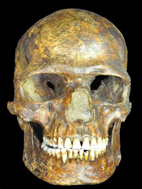 dna evidence proves that early humans survived the last ice age the
