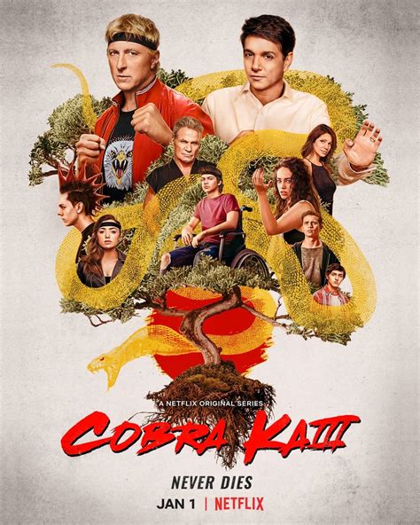 Netflixs Cobra Kai Season Three Review