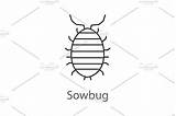 Woodlice Woodlouse sketch template