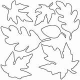 Trace Leaf Fall Leaves Pattern Library Clipart Clip Flower sketch template