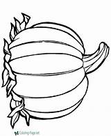 Thanksgiving Coloring Pages Pumpkin Leaves sketch template