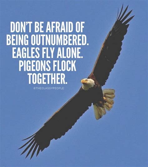 quotes fly  eagles  chickens image search results successful life quotes