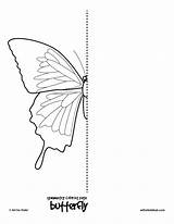 Symmetry Butterfly Coloring Pages Drawing Worksheets Kids Bug Hub Grid Artforkidshub Easy Symmetrical Insect Half Butterflies Mirror Colouring Color Draw sketch template