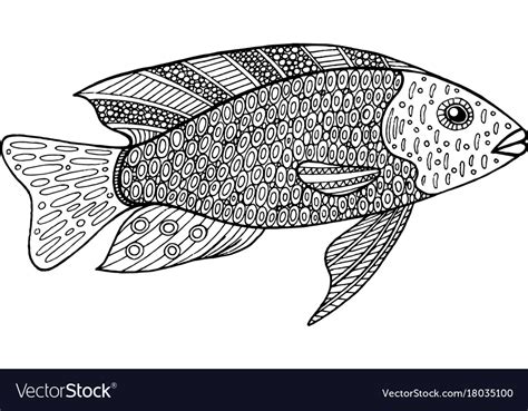 coloring pages  adults  fish