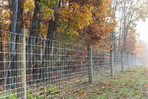 woven wire fencing  horses  pine grove pa profence llc