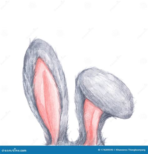 bunny rabbit ears easter concept watercolor illustration stock
