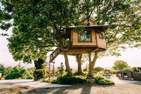 vacation rentals  captivating treehouses  rent curbed