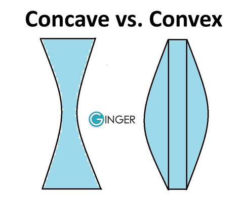 convexity  concavity  investing life  decision making sia mohajer