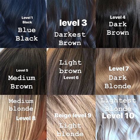 hair color chart   shades  blonde brown red black