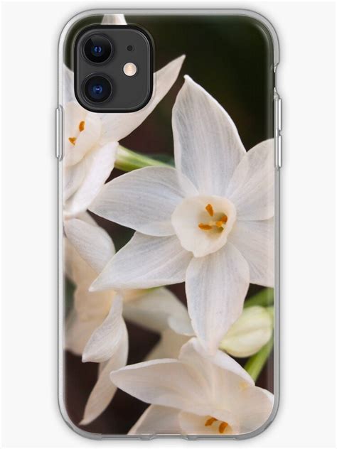 paperwhites  iphone case cover  douglasewelch redbubble