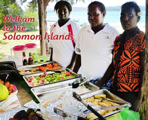 the sex life of sharks what do we know tourism solomons