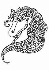Colorare Disegno Pferdekopf Cavallo Testa Malvorlage Coloriage Antistress Cheval Paard Kop Ausdrucken sketch template