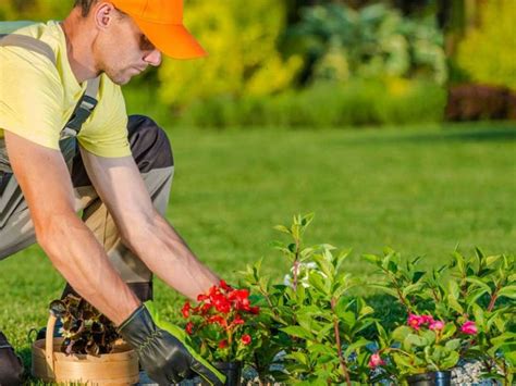 landscaping services hl landscapers landscaping company