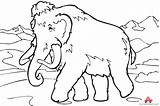Mammoth Coloring Woolly Wooly Clipart Drawing Elephant Outline Pages Printable Cliparts Rare Template Getcolorings Library Kids Collection Color Getdrawings Paintingvalley sketch template