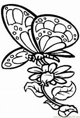 Butterfly Coloring Flower Flowers Pages Color Butterflies Printable Drawing Nectar Drawings Cardboard Clipart Designs Kids Online Cutout Coolage Hard Draw sketch template