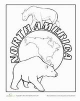 Coloring Pages America North Antarctica Worksheets American Sheets Continents Wildlife Worksheet Kids Printable Animals Geography Map Color Education Countries Getcolorings sketch template