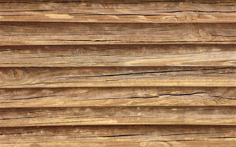tree wood wooden  background texture  image  needpixcom