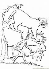 Coloring Pages Jungle Library Book Scene Maugli sketch template