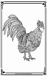 Ayam Mewarnai Untuk Dewasa Menyukai sketch template