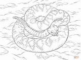 Rattlesnake Coloring Diamondback Eastern Pages Drawing Printable Supercoloring Getdrawings Drawings Crafts sketch template