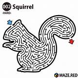 Maze Mazes Labirynty Kolorowanki Laberintos Puzzles Squirre Bestcoloringpagesforkids sketch template