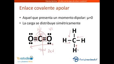 tipos de enlace covalente youtube