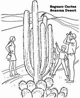Coloring Desert Pages National Sonoran Cactus Monuments Monument Barrel Racing Drawing Gobi Kids Saguaro Print Printables Parks Printable Arizona Usa sketch template