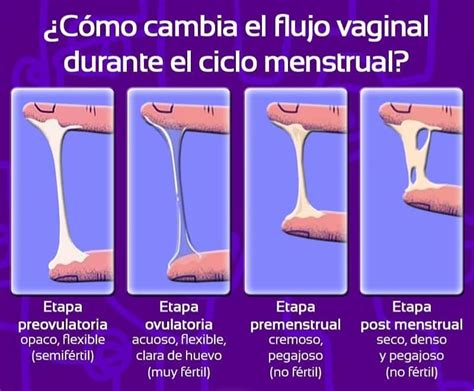 La Maleta Roja 🥰 Nuestro Flujo Vaginal Puede Ayudarnos A
