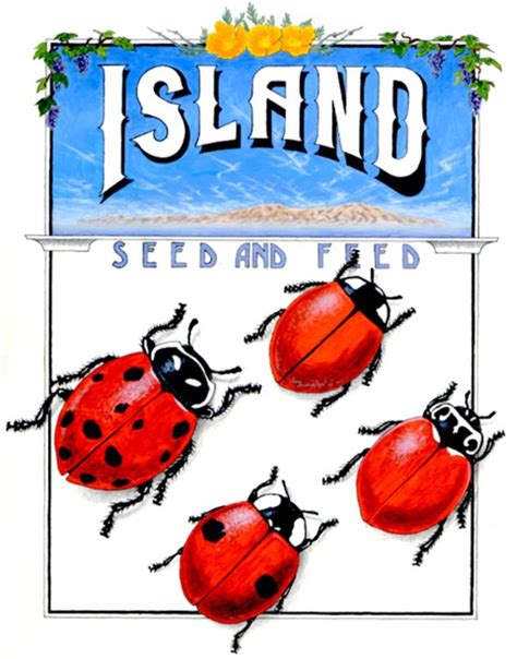 island seed feed goleta ca
