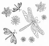 Pages Dragonflies sketch template