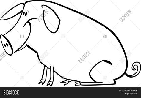 cartoon pig coloring vector photo  trial bigstock