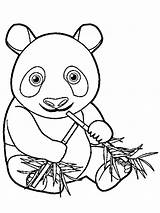 Panda Kleurplaat Kolorowanka Eet Bamboe Eats Bambus Leukekleurplaten Coloringpage Zjada Kolorowanki Panada Ladnekolorowanki Leuke één Nu sketch template