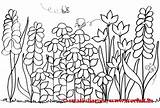 Coloring Garden Pages Flowers Colouring Gardens Secret Kids Flower Spring Adult Printable Template Adults Pattern Flowerbed Group Landscaping Treehut Printablecolouringpages sketch template
